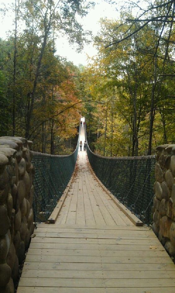 a man walking across a suspension bridge in the middle of trees and rocks on both sides