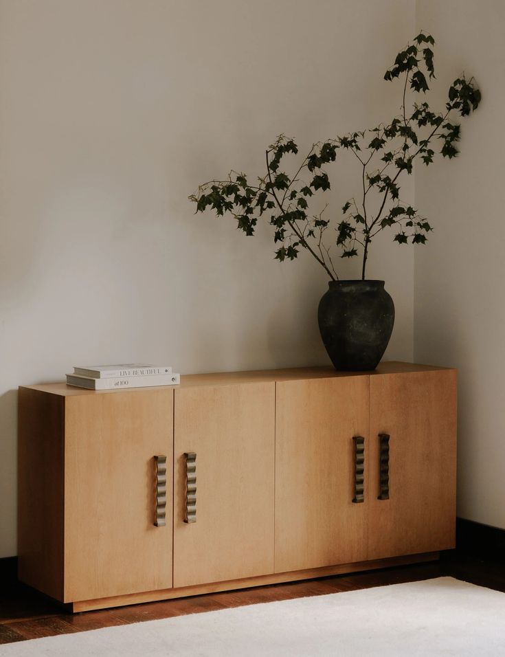 a plant is sitting on top of a cabinet