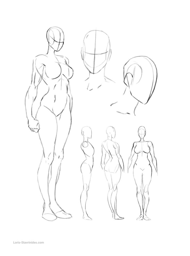 a line drawing of different poses and body shapes for the figure in front, back, and side view