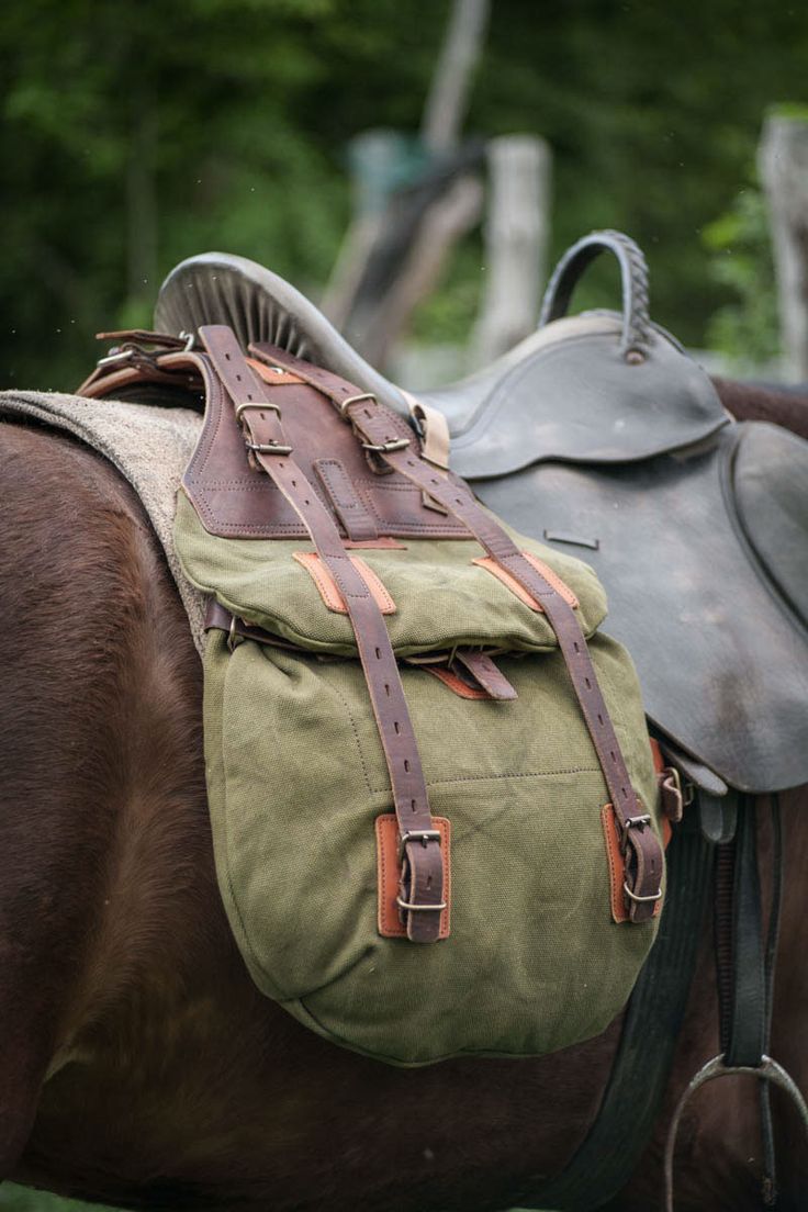 a brown horse with a saddle on it's back