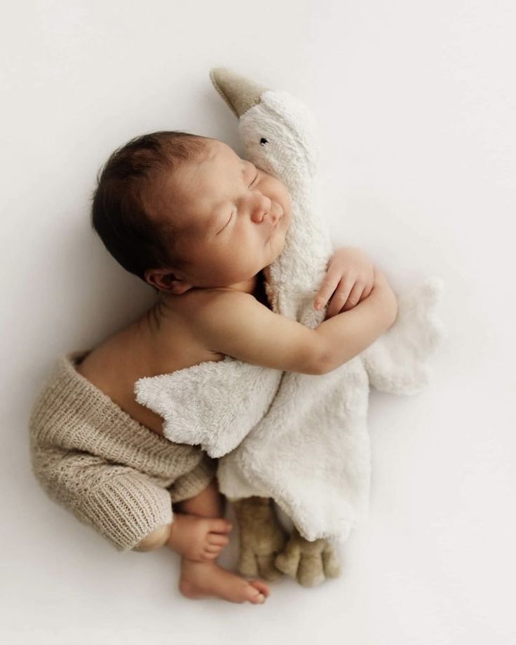 a baby sleeping with a stuffed animal in his arms on a white background that looks like he is holding it