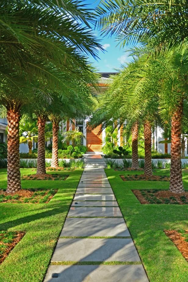 palm trees line the walkway between two buildings in this tropical garden area with stone pathway