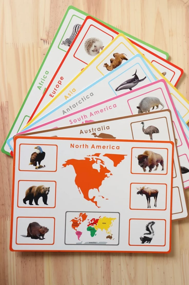 four cards with different animals on them sitting next to each other in front of a wooden table