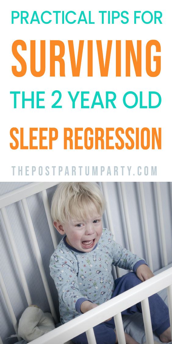 Two Year Old Sleep Schedule, 2 And A Half Year Old Sleep Schedule, 2 Year Sleep Regression, Postpartum Party, Toddler Sleep Regression, Sleep Hacks, Sleeping Tips, Dog Pregnancy Announcement, Newborn Sleep Schedule