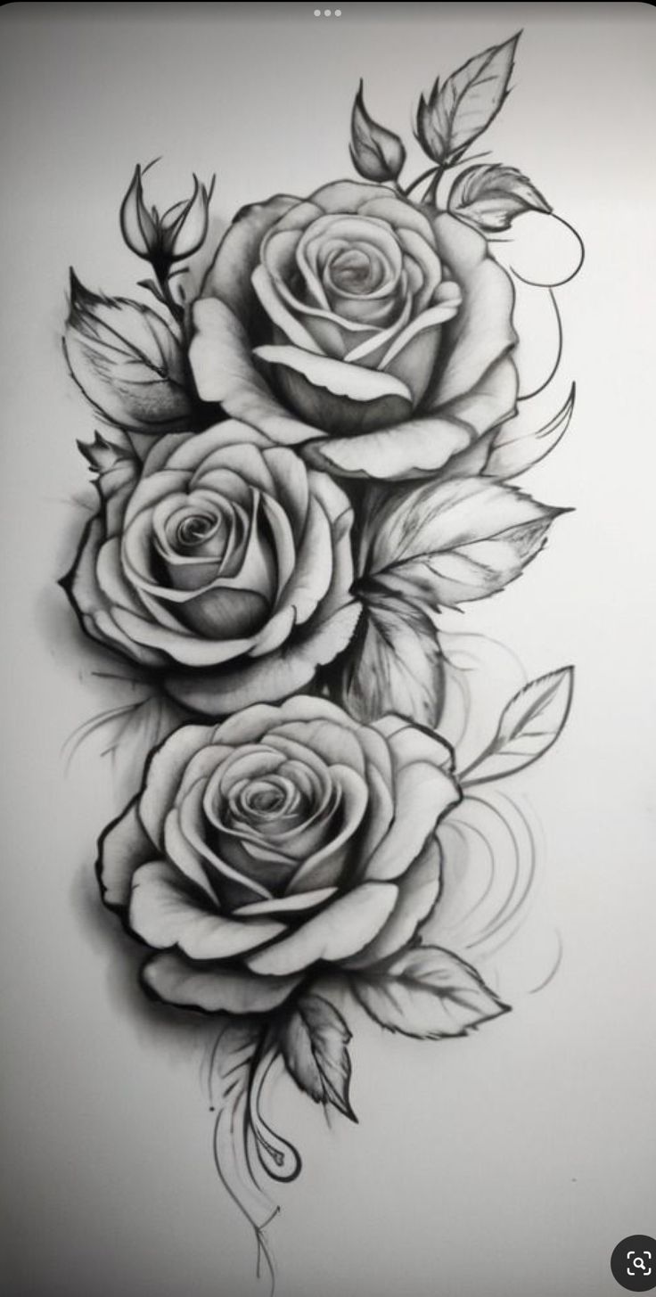 a drawing of three roses with leaves on it