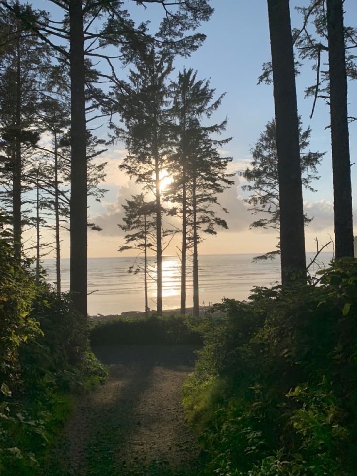 the sun shines through the trees on a path to the beach in front of some water