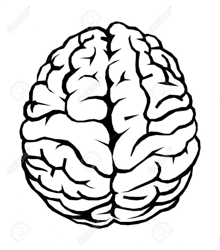 a black and white drawing of a brain