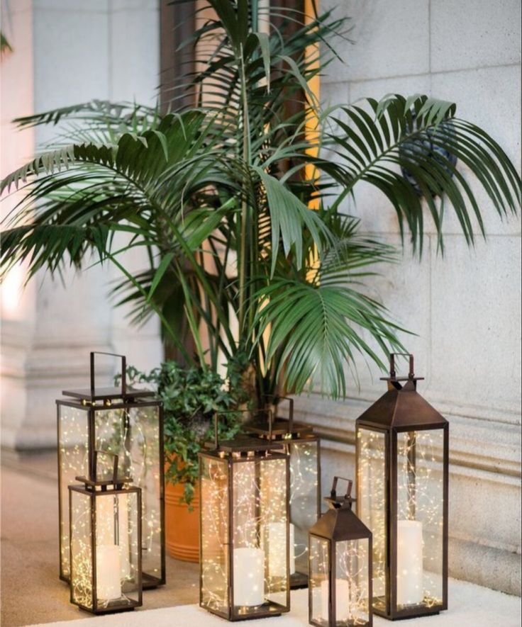 three lanterns are sitting next to a plant and potted palm tree on the sidewalk