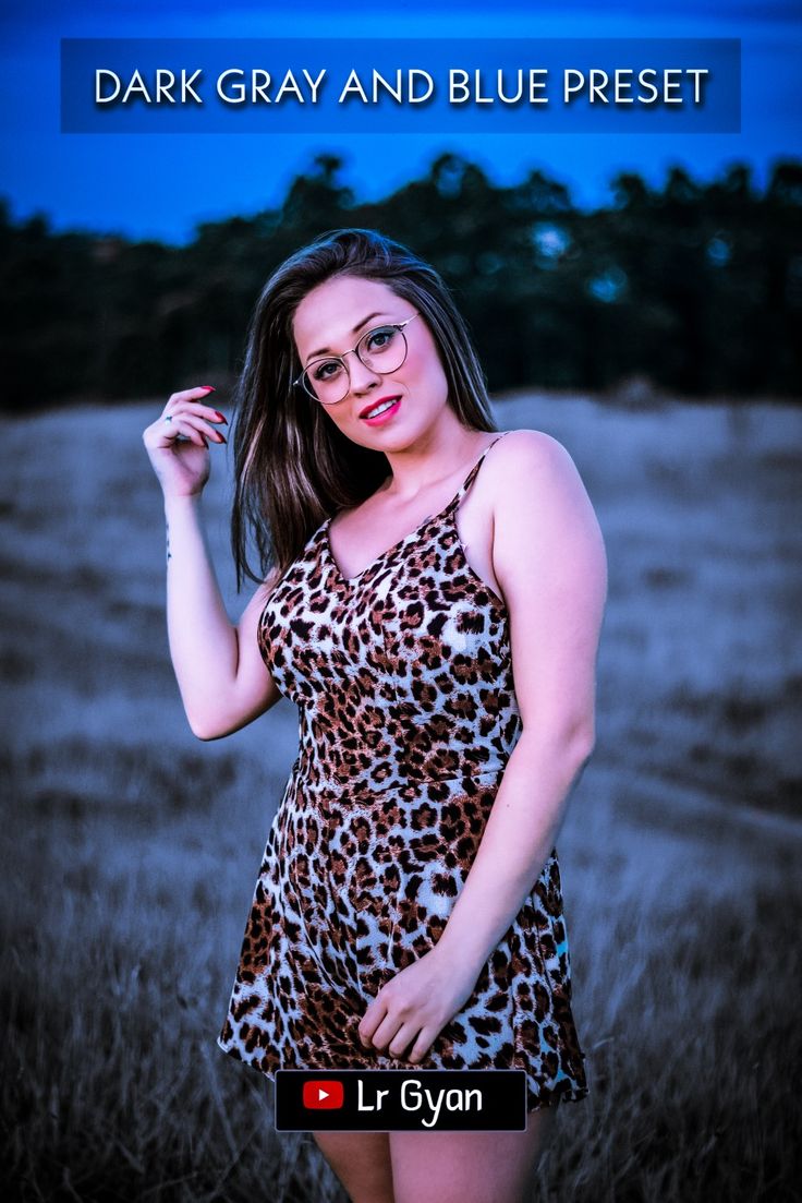 a woman in a leopard print dress posing for a photo with the caption dark gray and blue preset