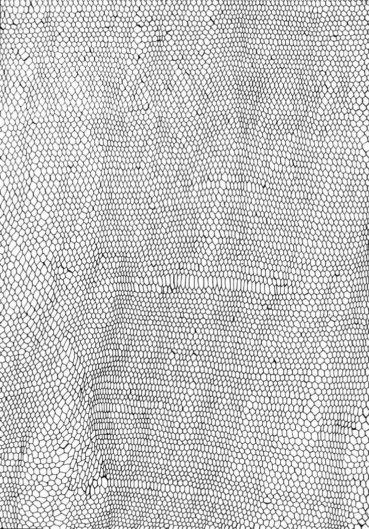 an old black and white photo of some sort of netted fabric with holes in it