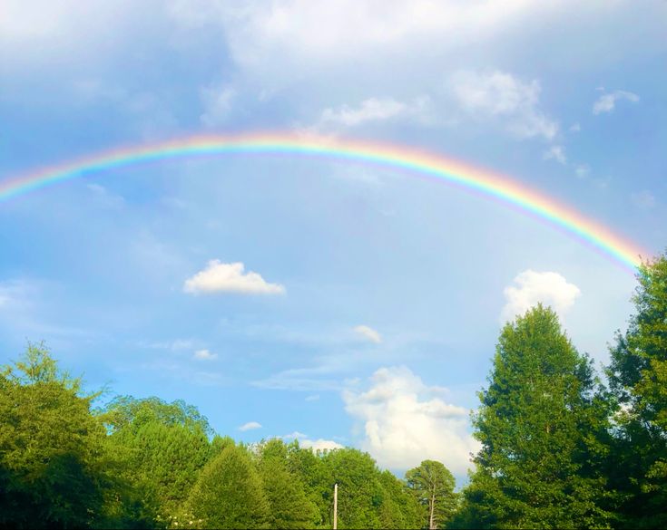 a rainbow is in the sky over a field with trees and grass on either side