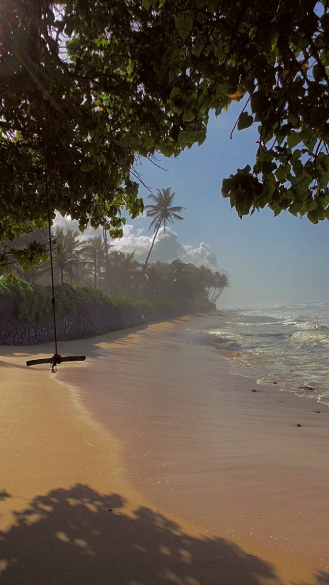 an empty beach with trees and the ocean in the background