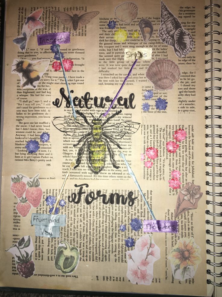 altered photograph of a bee surrounded by flowers and butterflies on an old book page with text