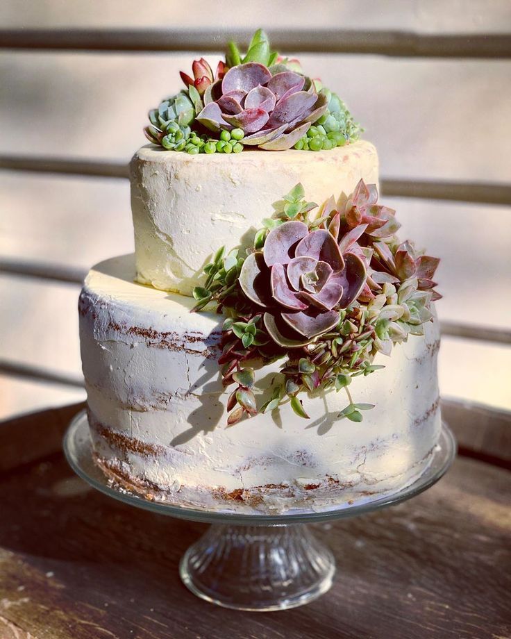 a three tiered cake with succulents on top