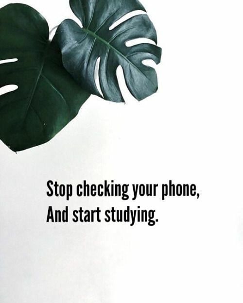 a green leaf with the words stop checking your phone and start studying