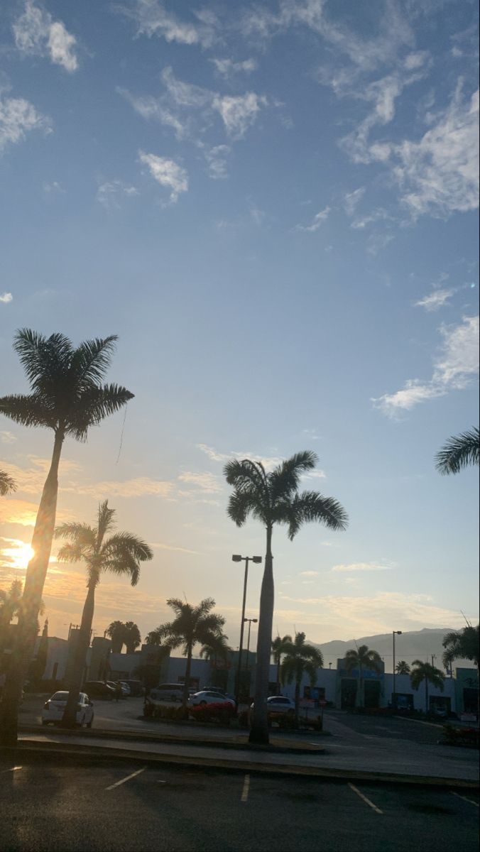 the sun is setting behind some palm trees