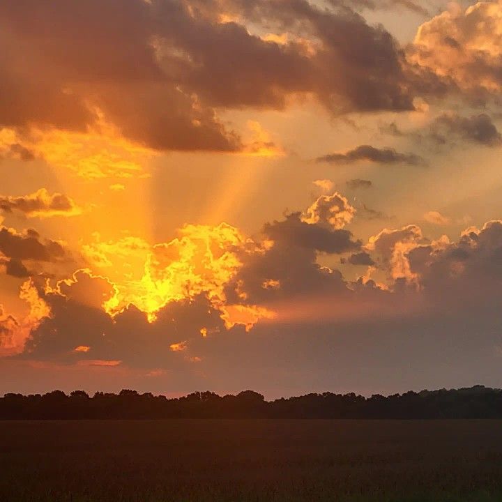 the sun is setting over an open field with trees in the distance and clouds in the sky