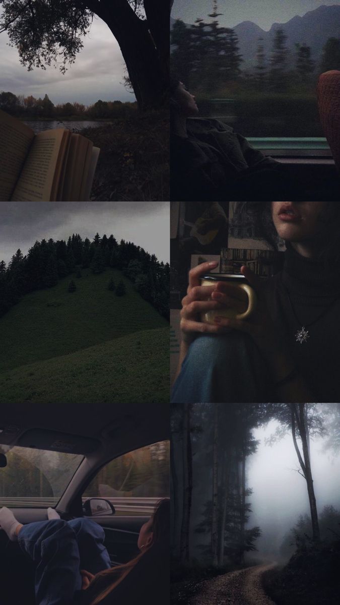 a collage of photos with trees and people in the background, including an open car door