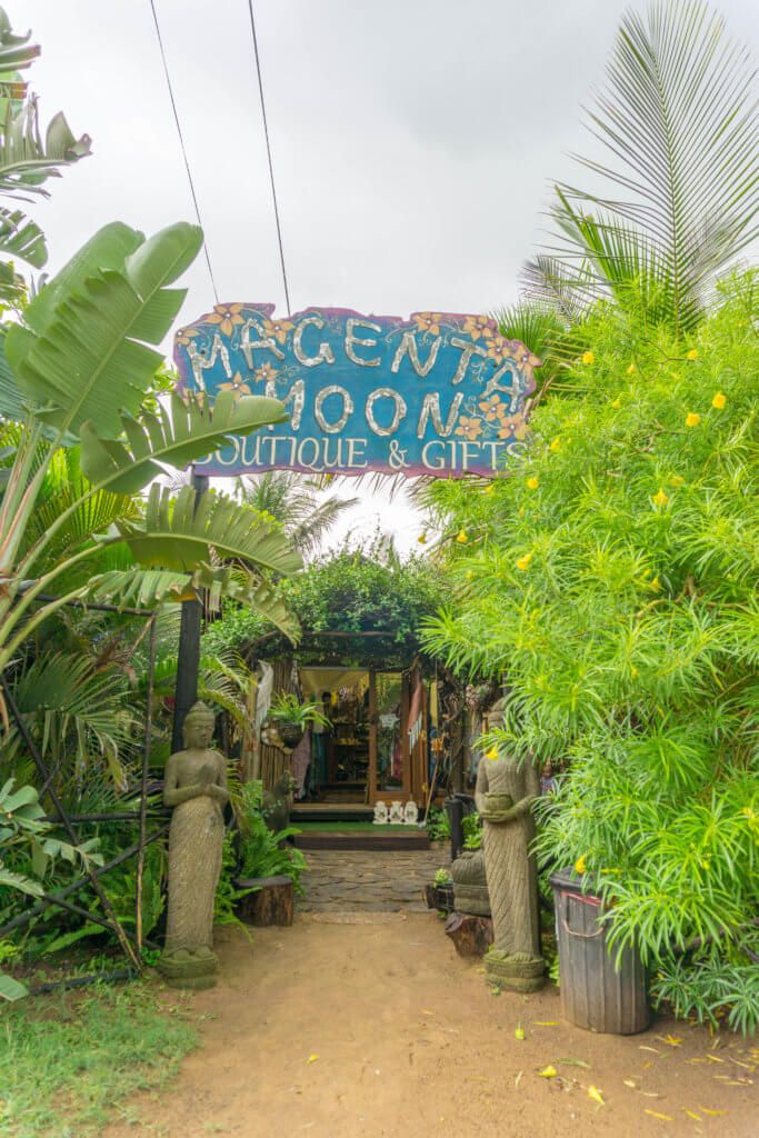 an entrance to a tropical shop with lots of plants