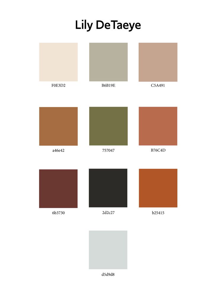 the color chart for lily detaye's new paint palette, which is available in