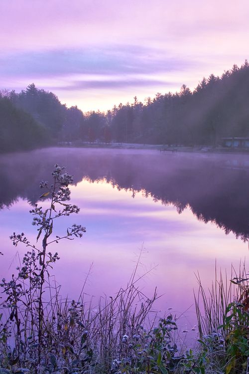 a lake surrounded by tall grass with trees in the background and purple skies above it