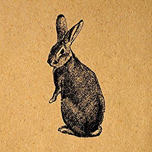 a black and white drawing of a rabbit sitting on top of a piece of paper