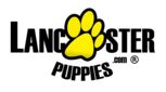 the lancster puppies logo is yellow and black with a paw on it