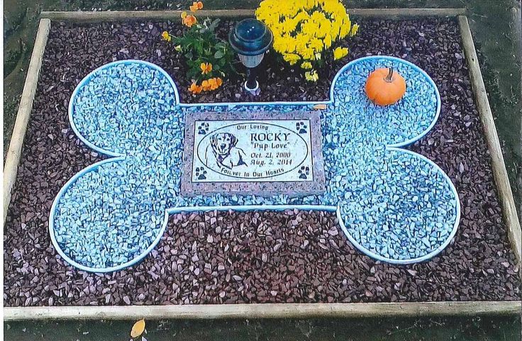 a blue and white dog bone with flowers in the background on a rock garden area