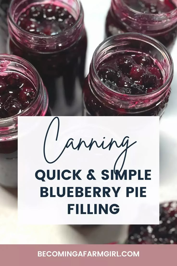 canning quick and simple blueberry pie filling is the perfect way to start your day