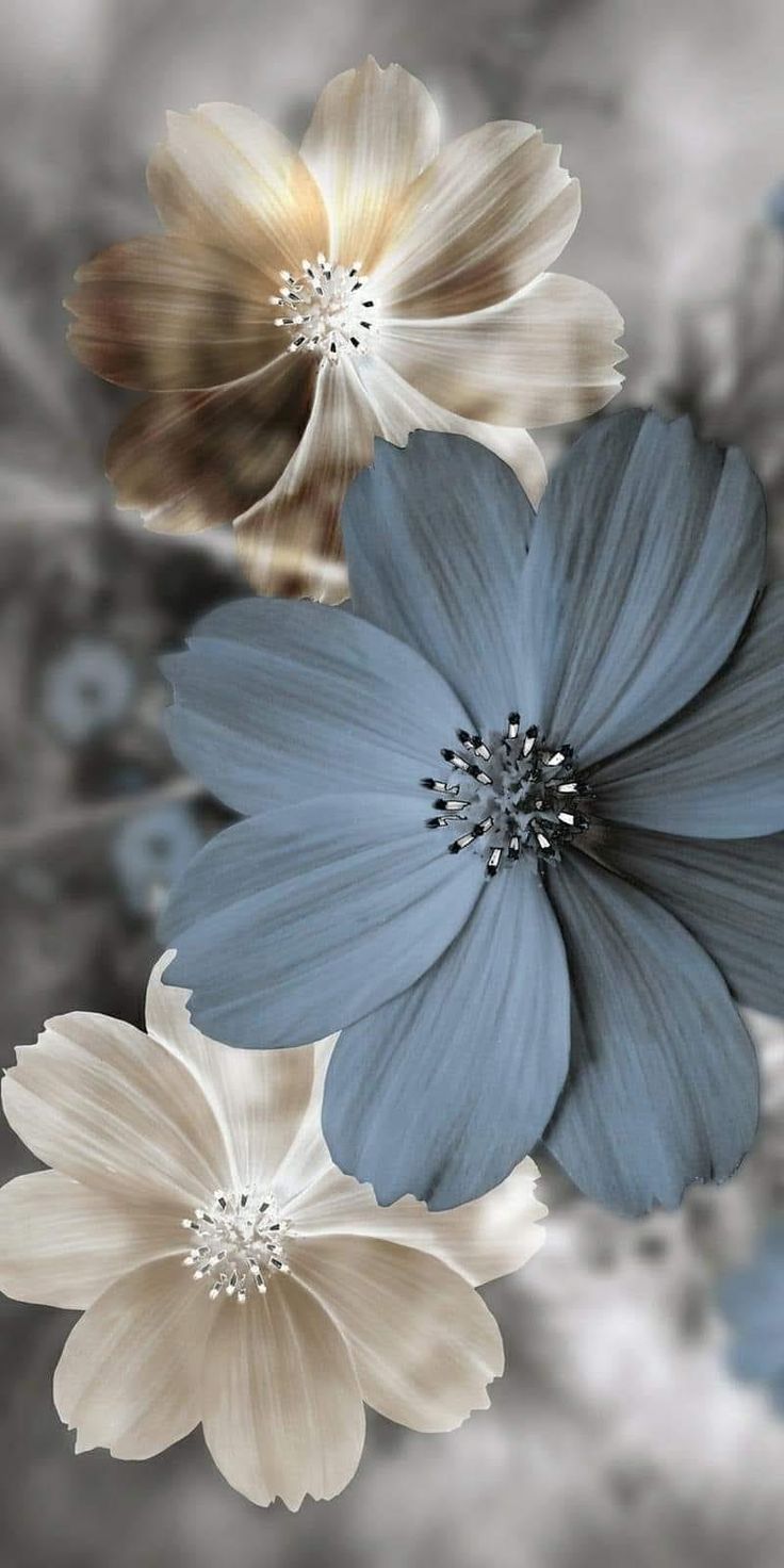 three blue and white flowers are shown in this artistic photo