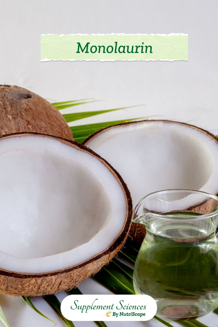 Monolaurin is derived from lauric acid, a compound found in coconut oil and palm oil. Monolaurin is known for its immune-boosting, antiviral, antibacterial, and antifungal properties. As interest in natural remedies and preventive healthcare continues to rise, some are turning to monolaurin supplements as an alternative.

#Supplement #Monolaurin #Antibacterial #Antiviral #Antifungal Preventive Healthcare, Palm Kernel Oil, Lower Cholesterol, Immune Boosting, Palm Oil, Health Professionals, Breast Milk, Health Supplements, Fatty Acids