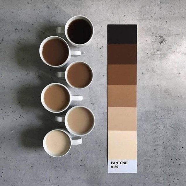 there are coffee cups on the table next to each other and a pantone color chart