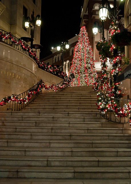 the stairs are decorated with christmas lights and garlands for holiday decorations on both sides