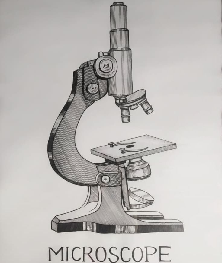 Biology Chart- Structure Of Microscope. Compound Microscope Drawing, Microscope Drawing With Label, Microscope Sketch, Microscope Drawing, Dissecting Microscope, Compound Microscope, Science Drawing, A Levels, Science Textbook