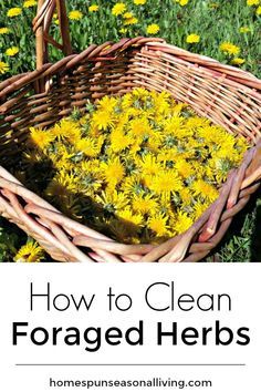 a basket full of yellow flowers with the words, how to clean foraged herbs