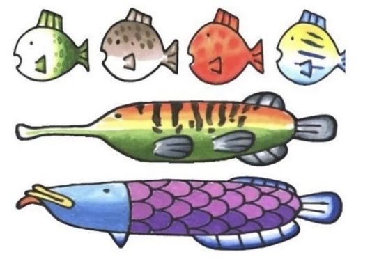 an image of fish with different colors on them