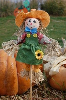 a scarecrow doll sitting on top of hay next to pumpkins