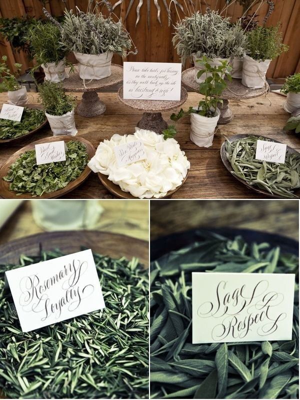 several different pictures of herbs and place cards