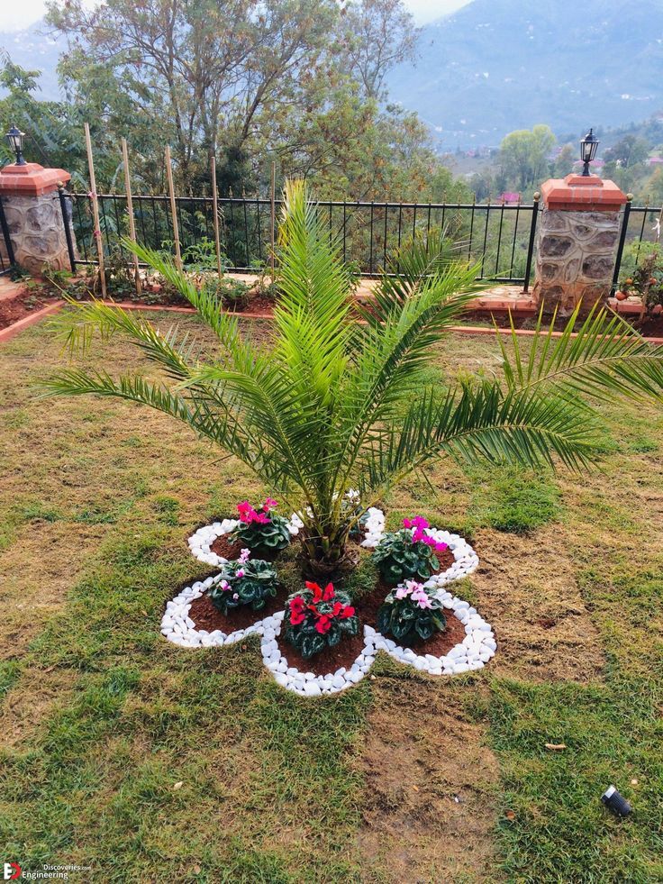 a potted palm tree sitting in the middle of a lawn with flowers on it