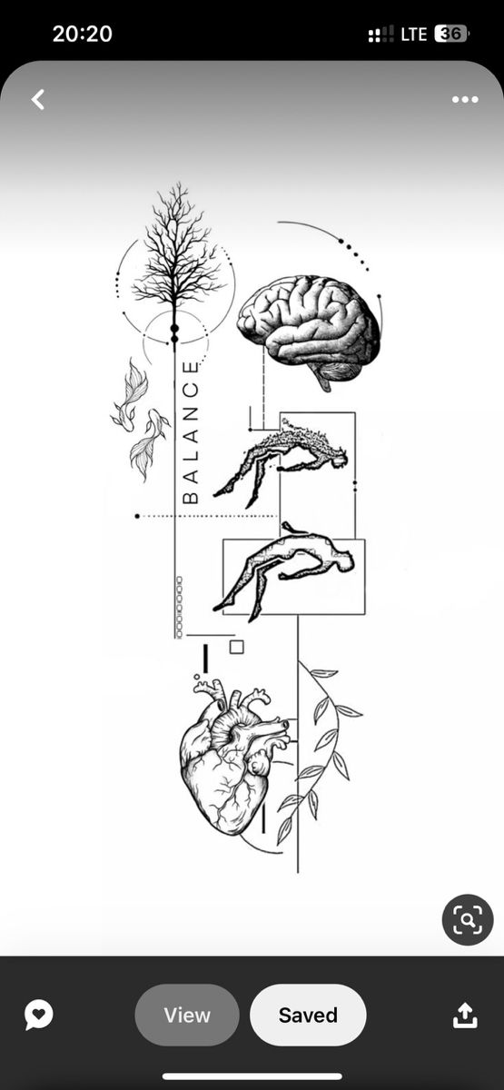 an image of the human brain and its functions