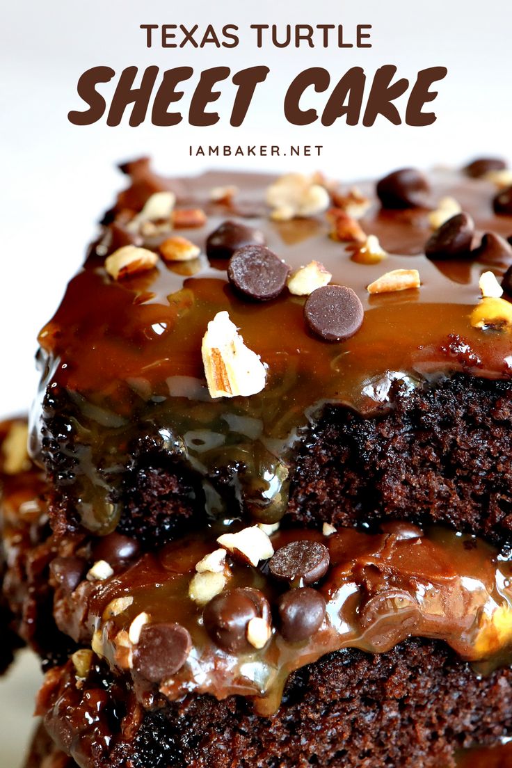 a close up of a piece of cake on a plate with chocolate chips and caramel