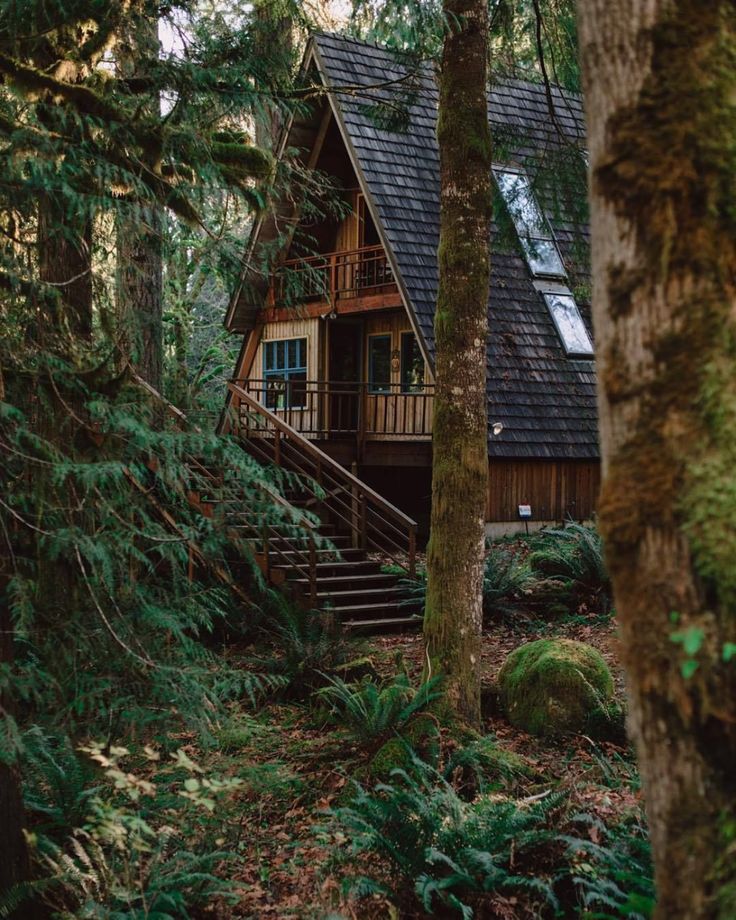 a cabin in the woods with stairs leading up to it's roof and windows