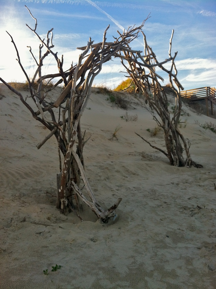 an arch made out of branches in the sand