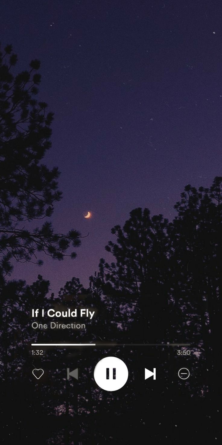 the sky is lit up at night with trees in the foreground and an audio player below it