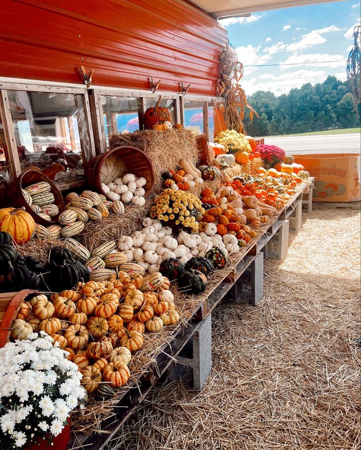 an outdoor market with pumpkins, gourds and other vegetables on the tables