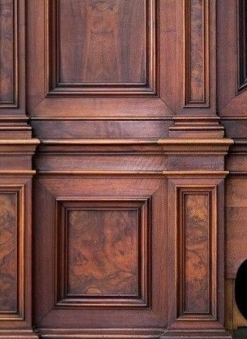 a black and white cat sitting on the floor next to a brown door with wood paneling