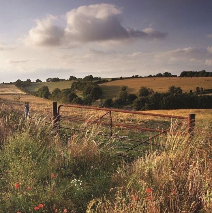 a fence in the middle of a field with tall grass and wildflowers on either side