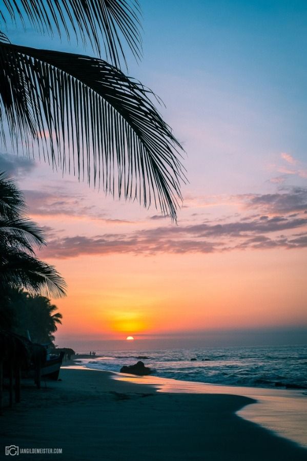 the sun is setting over the ocean with palm trees