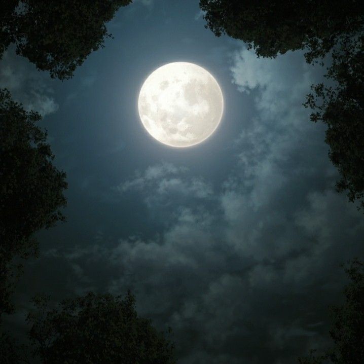 the full moon shines brightly through the clouds in this dark night time sky with trees