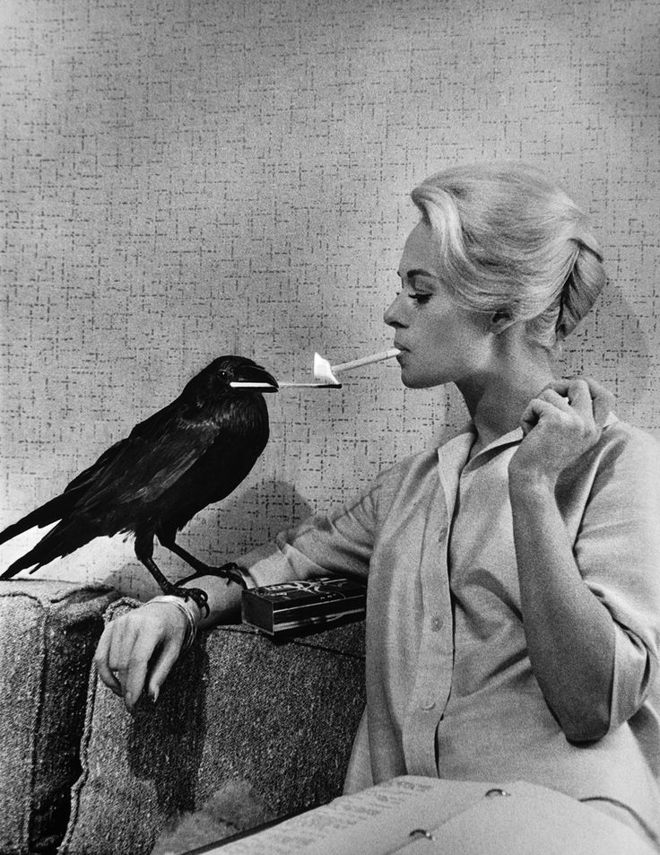 Philippe Halsman, Tippi Hedren, Jeanne Damas, Bird Canvas, Bird Poster, Marlon Brando, Sean Connery, Arte Inspo, Magnum Photos